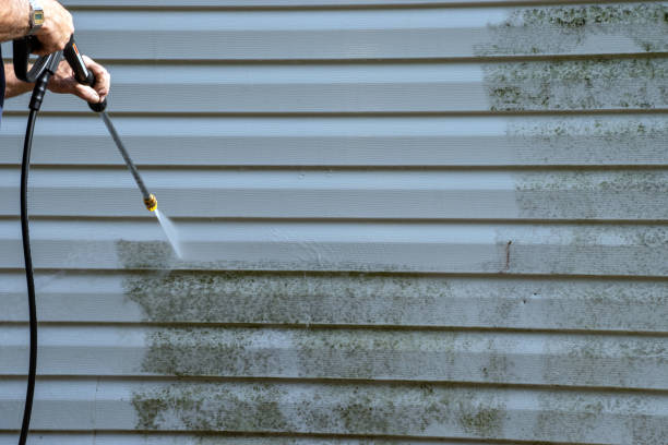  Sinking Spring, PA Junk Removal Pros