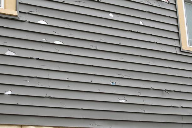 Best Demolition Debris Removal  in Sinking Spring, PA
